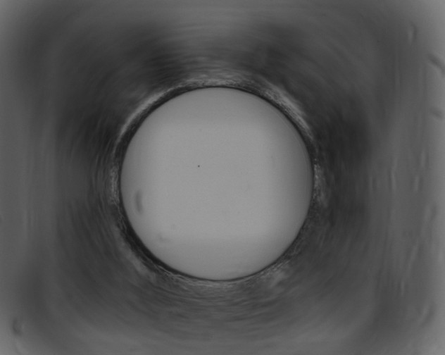 X0000096660012200802051007