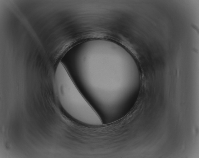 X0000096660013200802051007