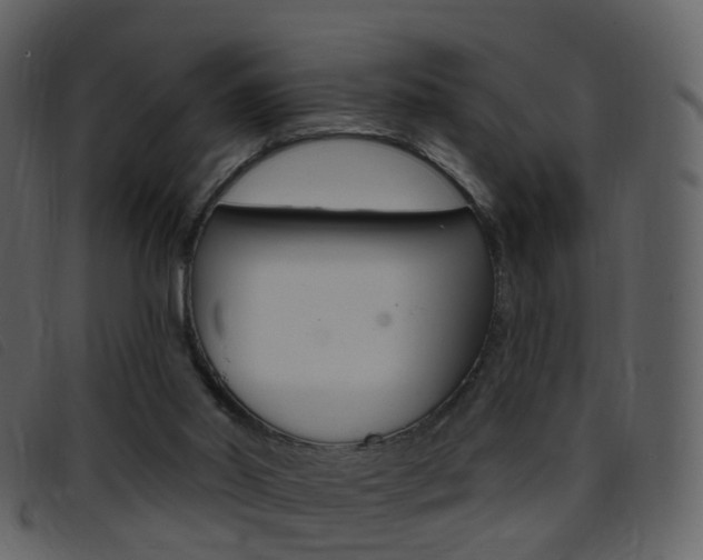 X0000096660014200802051007