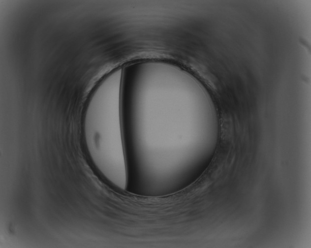 X0000096660015200802051007