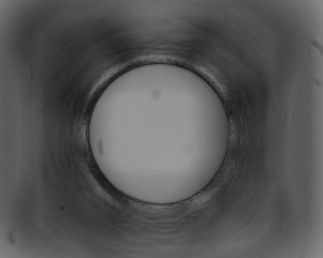 X0000096660016200802051007