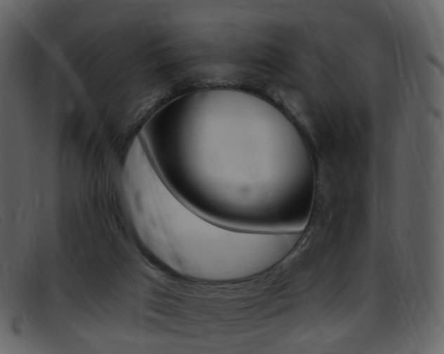 X0000096660017200802051007