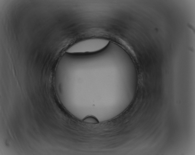 X0000096660018200802051007