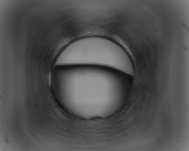 X0000096660019200802051007