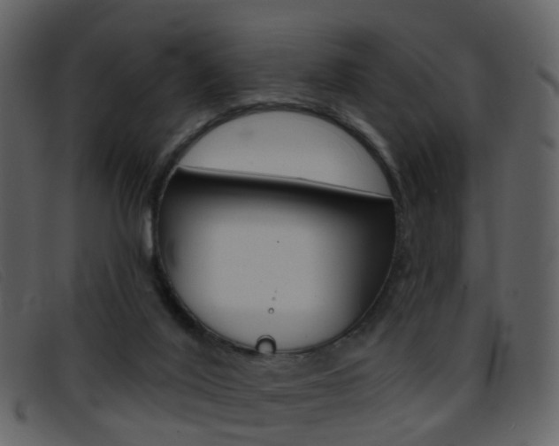 X0000096660020200802051007