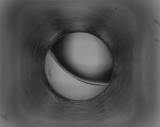 X0000096660021200802051007