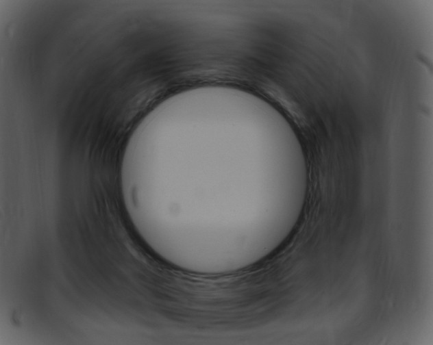 X0000096660022200802051007