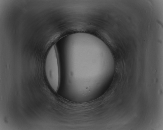 X0000096660023200802051007