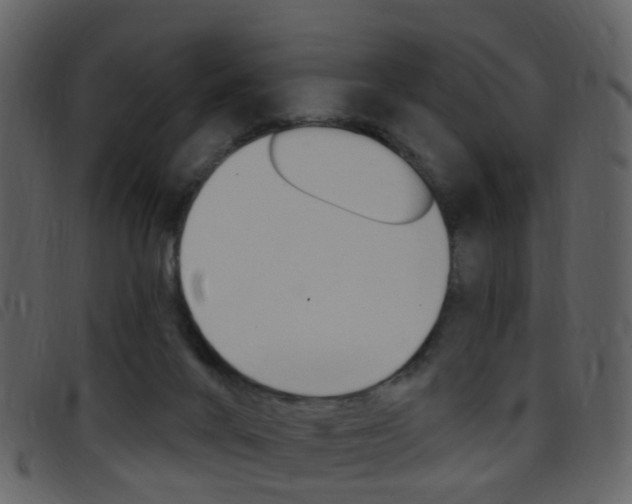 X0000096660024200802051007