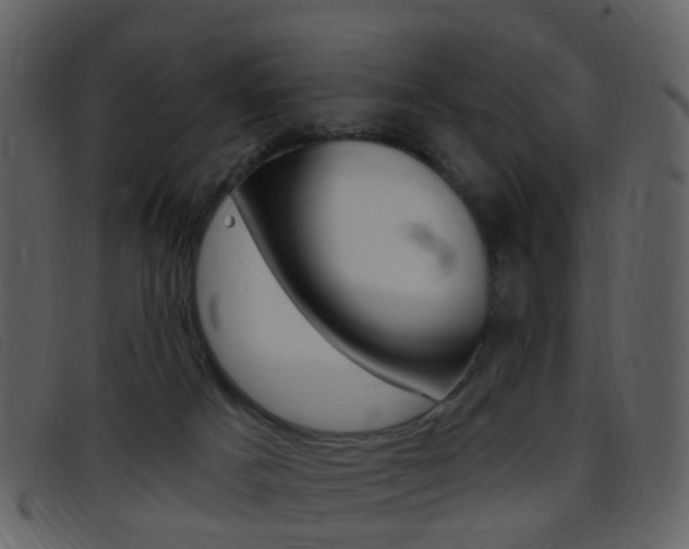 X0000096660025200802051007
