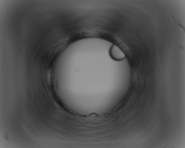 X0000096660026200802051007