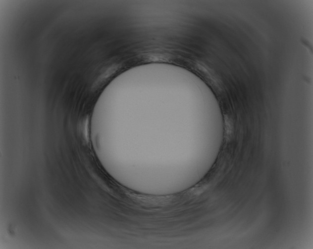 X0000096660028200802051007