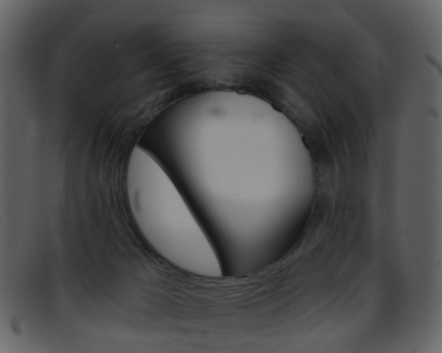 X0000096660029200802051006