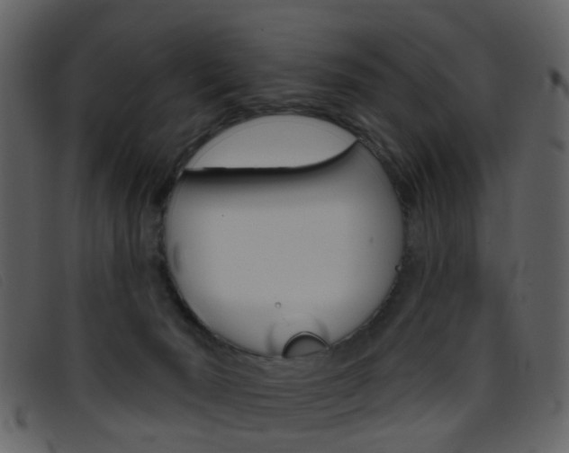 X0000096660030200802051006