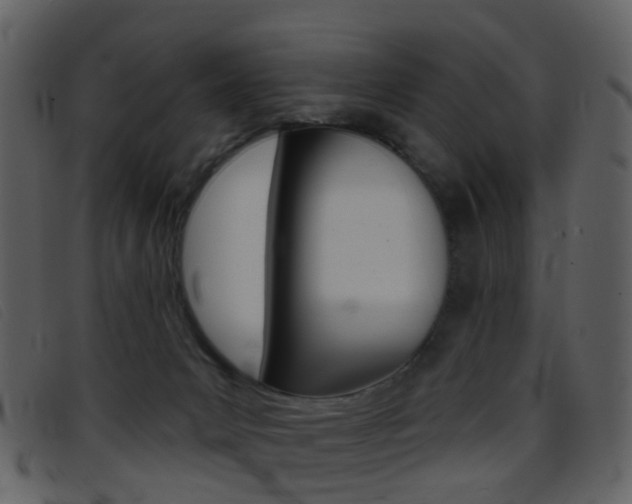 X0000096660031200802051006