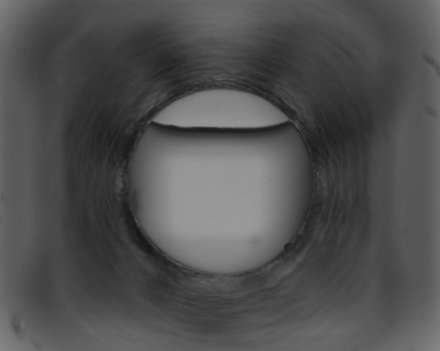X0000096660032200802051006