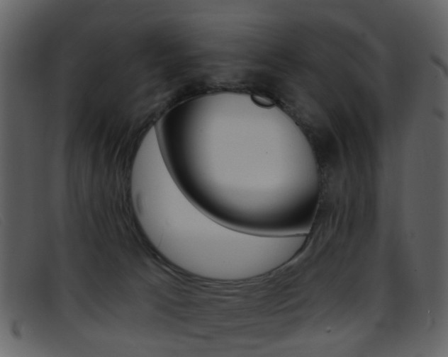 X0000096660033200802051006