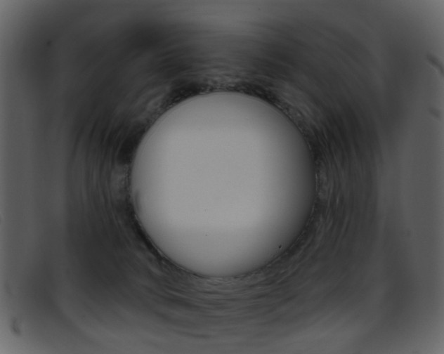 X0000096660034200802051006