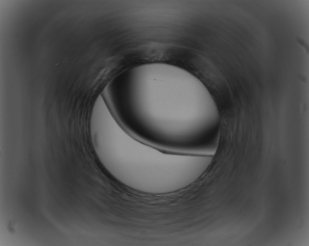 X0000096660035200802051006