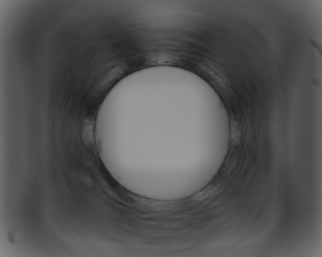 X0000096660036200802051006