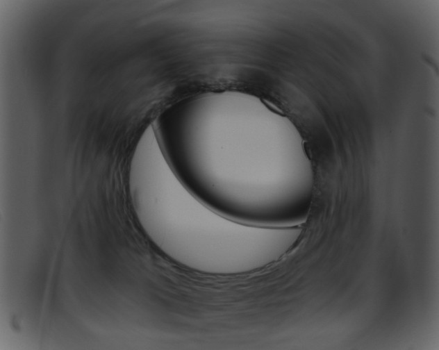 X0000096660037200802051006
