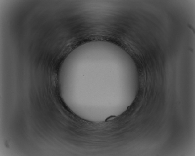 X0000096660038200802051006