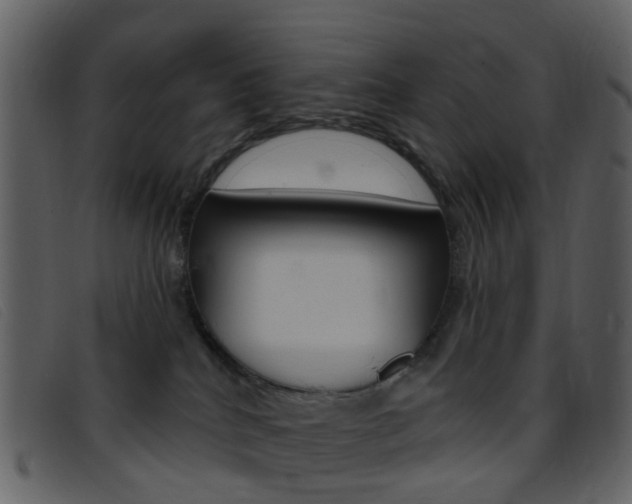 X0000096660040200802051006