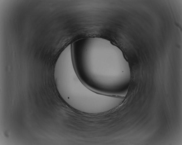 X0000096660041200802051006