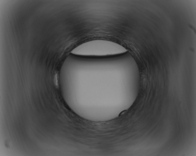 X0000096660042200802051006