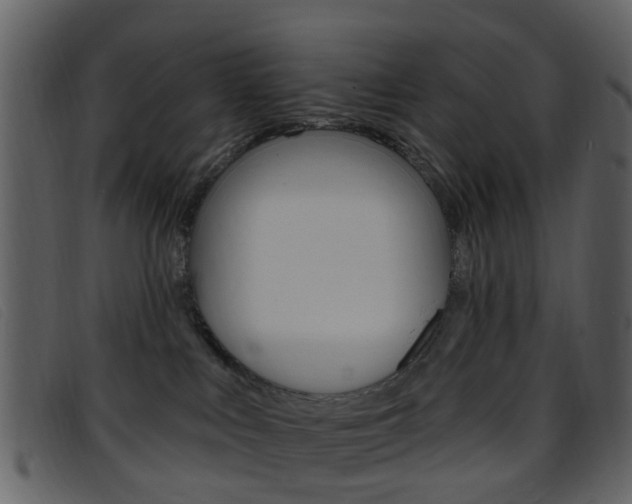 X0000096660043200802051006