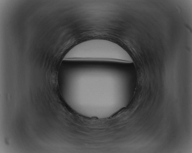 X0000096660044200802051006