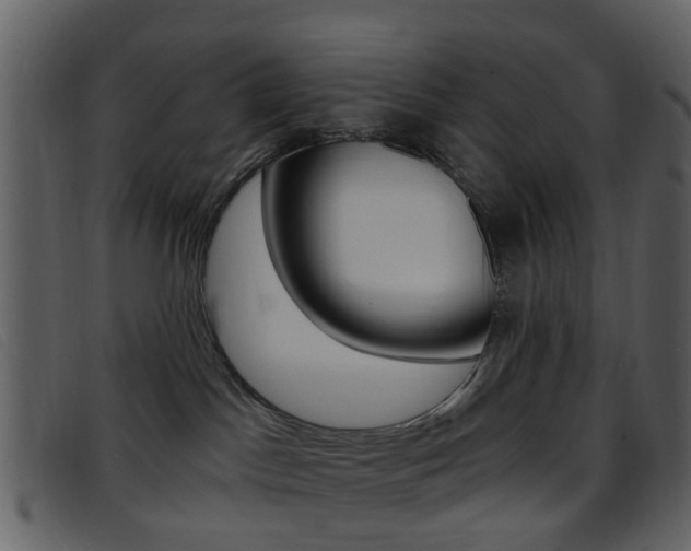 X0000096660045200802051006