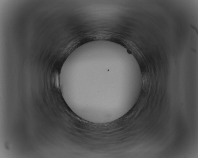 X0000096660046200802051006