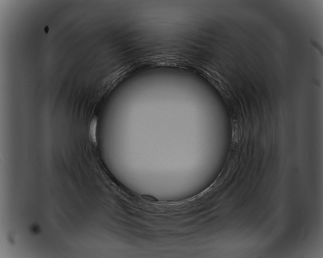 X0000096660047200802051006