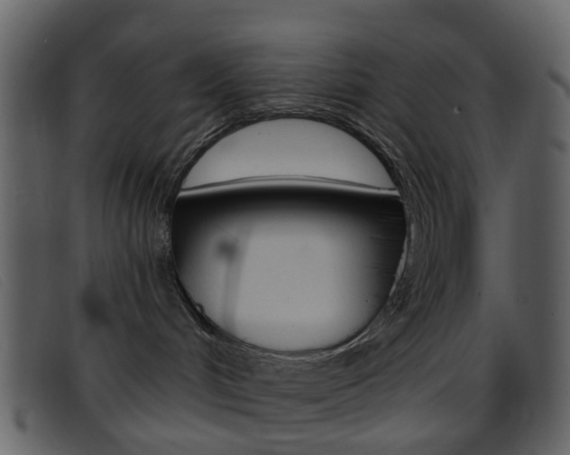 X0000096660048200802051006