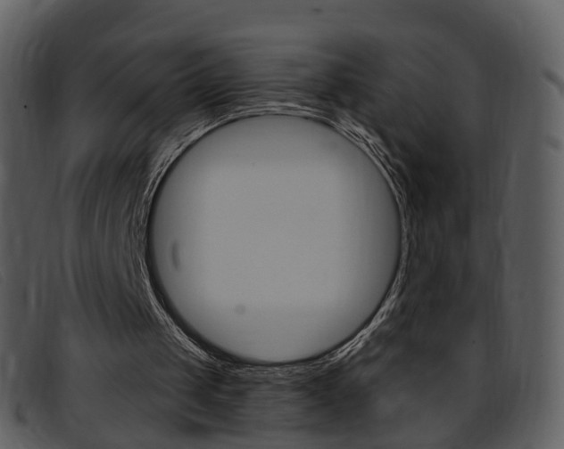 X0000096660049200802051005