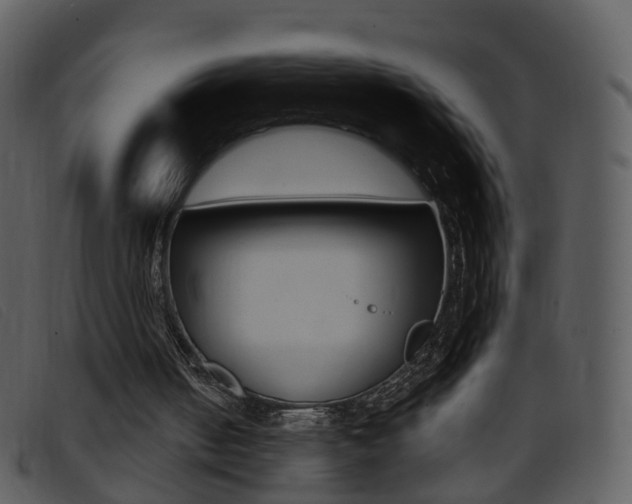 X0000096660050200802051005