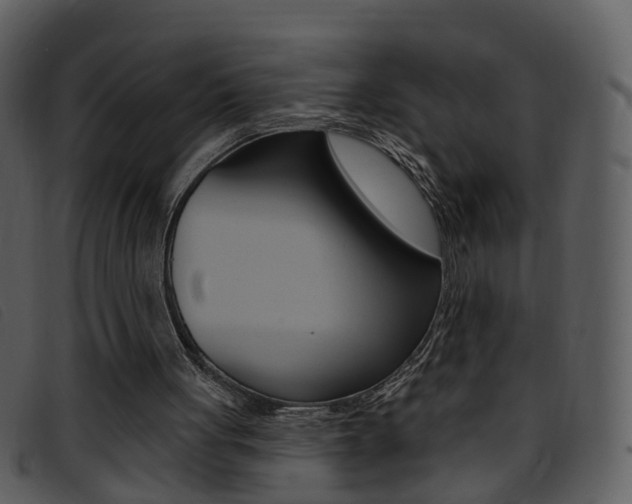 X0000096660051200802051005