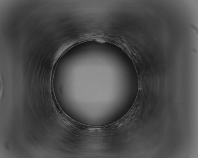 X0000096660052200802051005