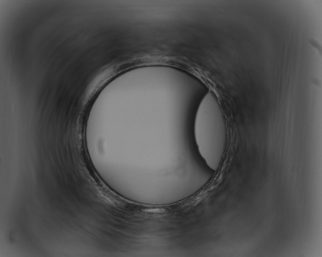 X0000096660053200802051005
