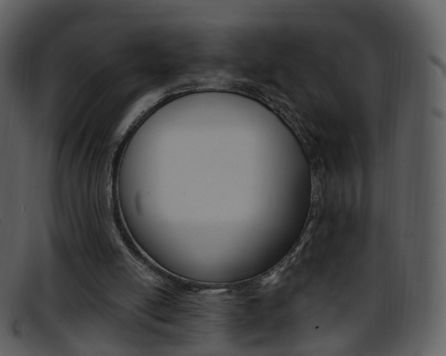 X0000096660054200802051005