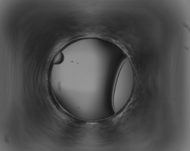 X0000096660055200802051005