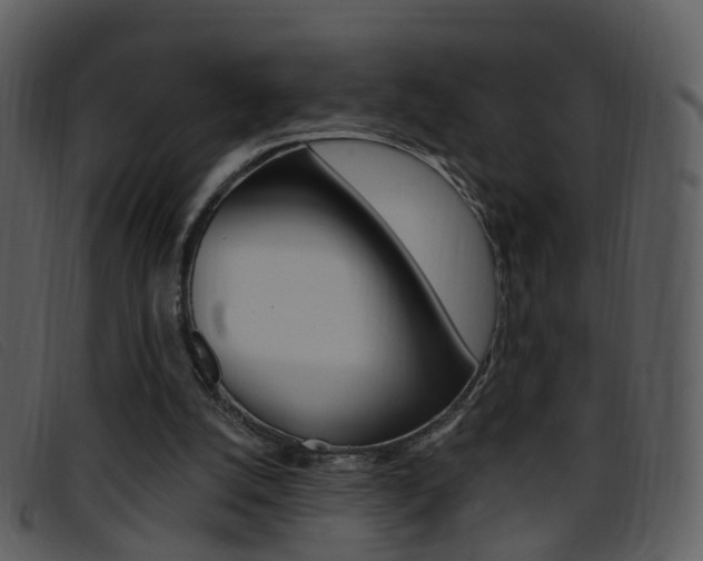 X0000096660056200802051006