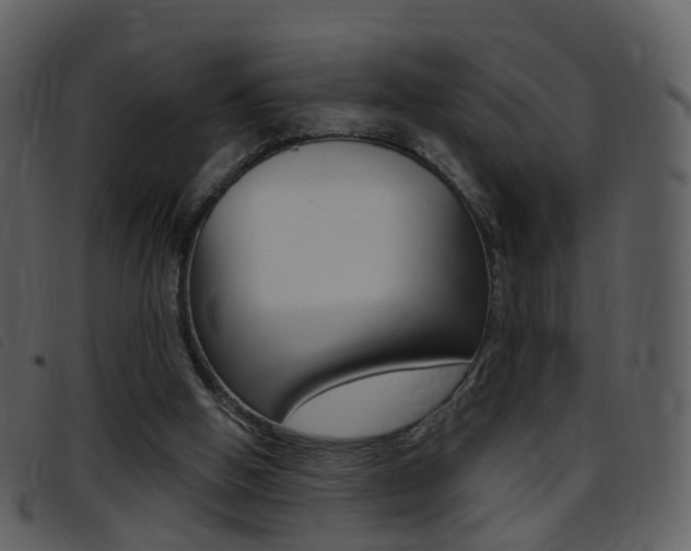 X0000096660058200802051006