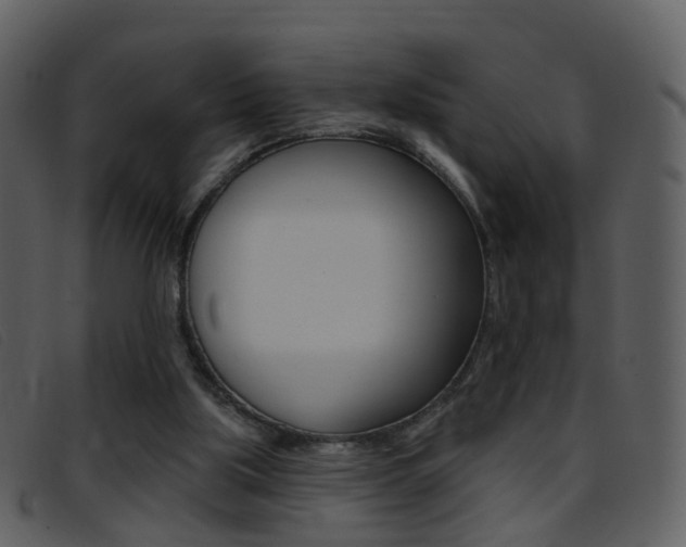 X0000096660059200802051006