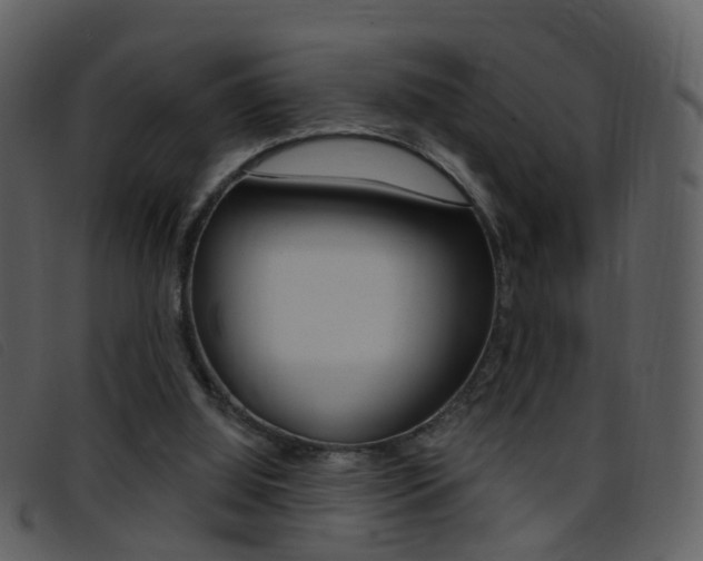 X0000096660060200802051006