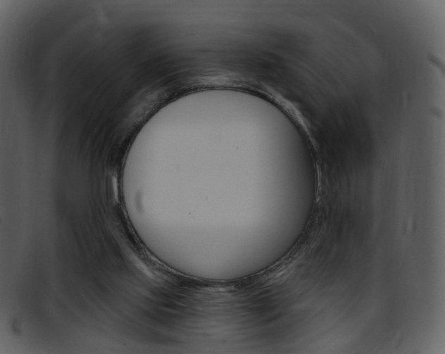X0000096660061200802051006