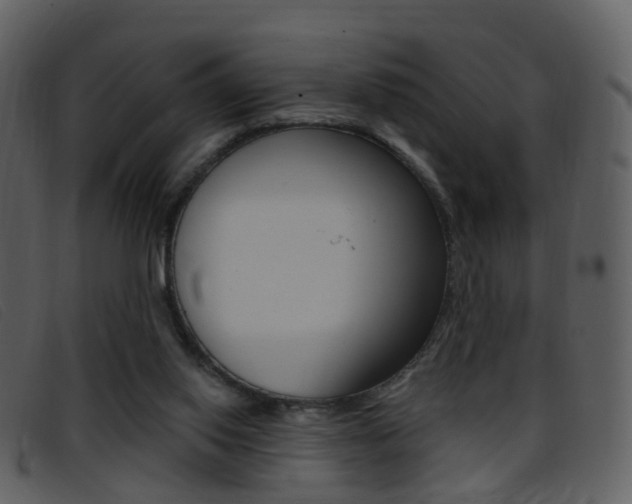 X0000096660062200802051006