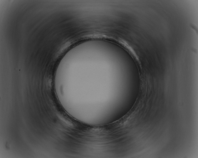 X0000096660063200802051006