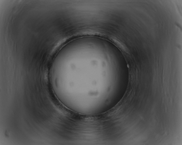 X0000096660064200802051006